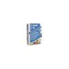Kleber von Mapei Adesilex P9 Weiß
